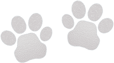 Paw Prints