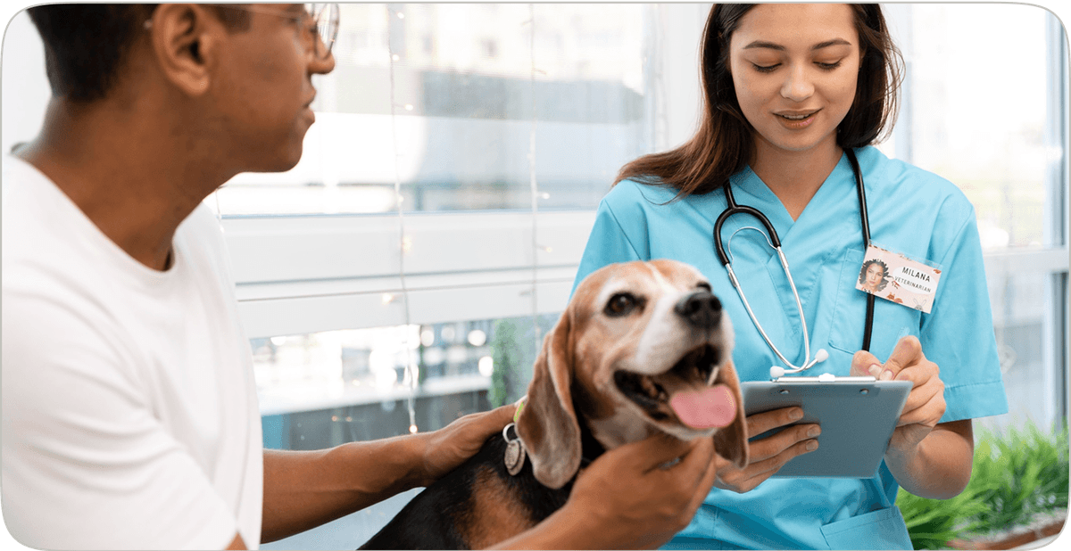 Consult with Vets illustration